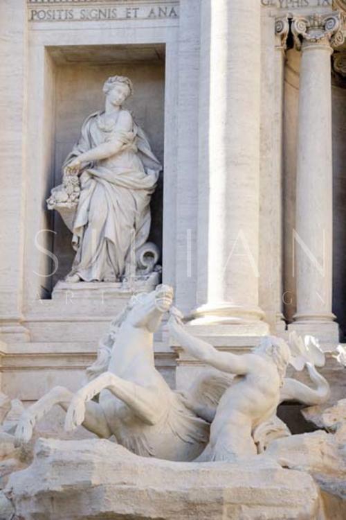 Trevi Fountain in Afternoon Light II