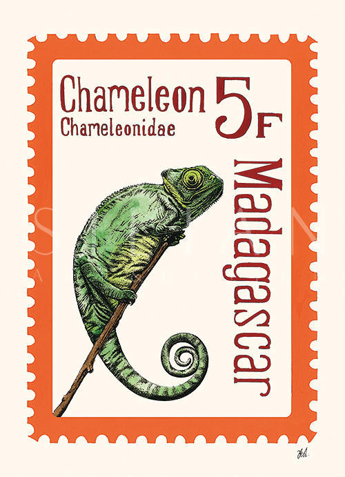 Animal Stamp Card III