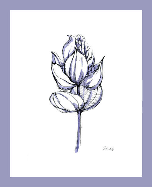Sketch of Flowers Ⅱ 