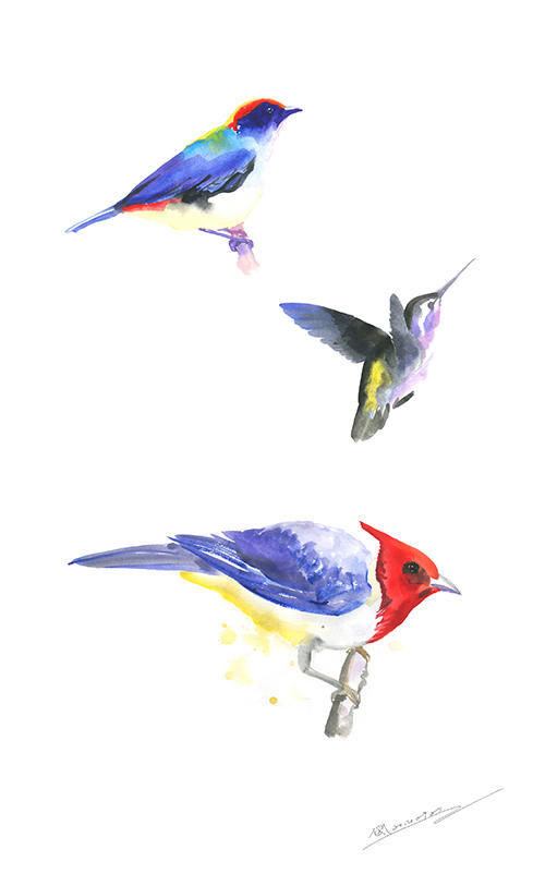Mini Vintage Birds Ⅱ