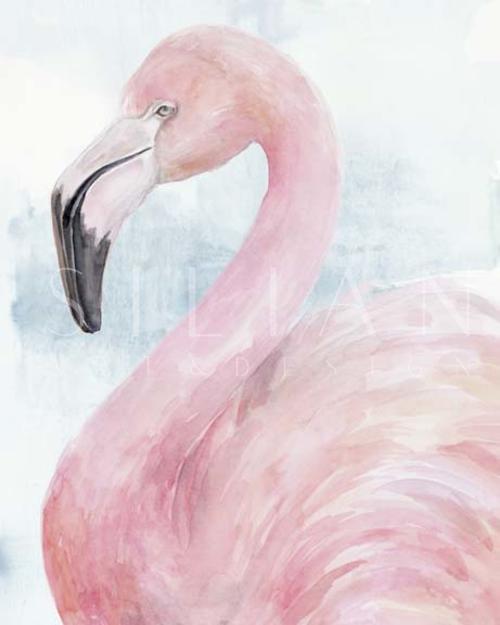 粉红色的火烈鸟肖像 II
