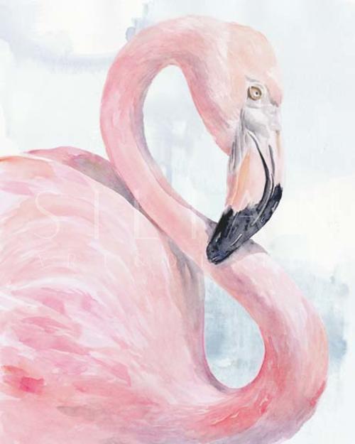 粉红色的火烈鸟肖像 I