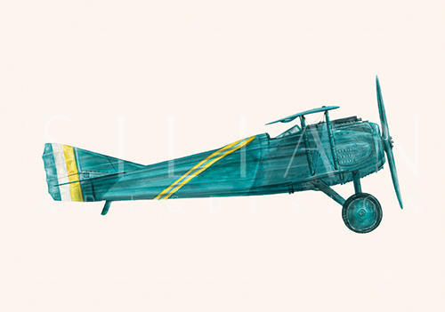 Vintage Aircraft Ⅰ