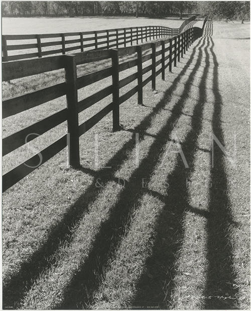 Fences and Shadows, Florida