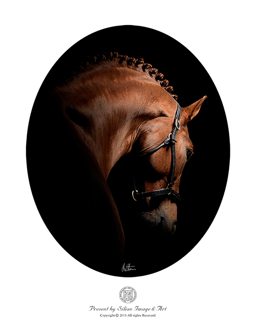 Horse Head Ⅰ