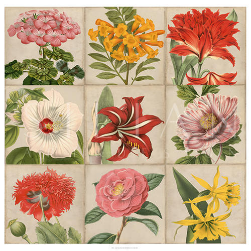 Vintage Flower Grid