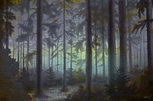 Woods Painting