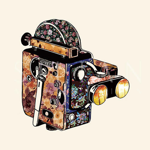 Vintage Camera Ⅱ