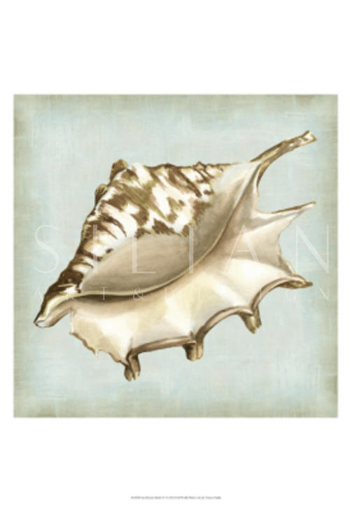 Sea Dream Shells IV