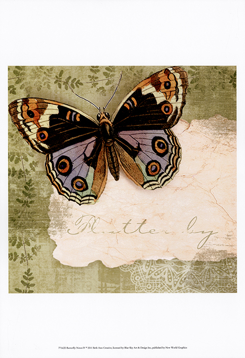Butterfly Notes