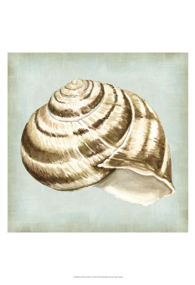 Sea Dream Shells III