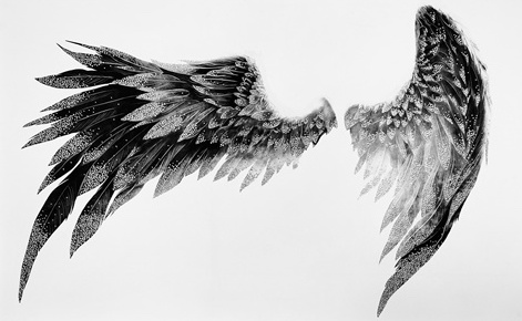 Wings of Dream
